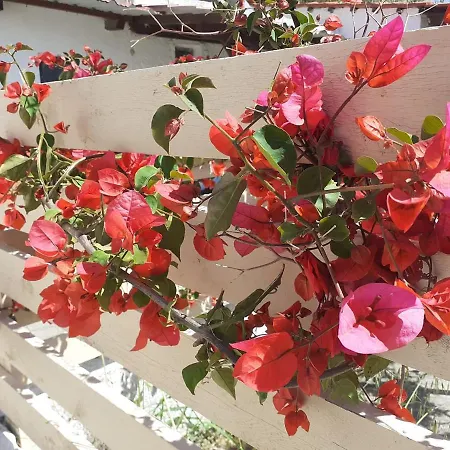 Country House Holiday home Kos Town